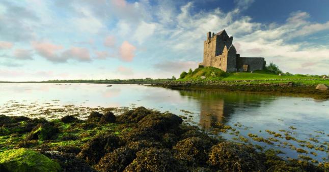 LIC   IS   castello di Dúnguaire Irlanda, a 27 chilometri da Galway   ID 177126947